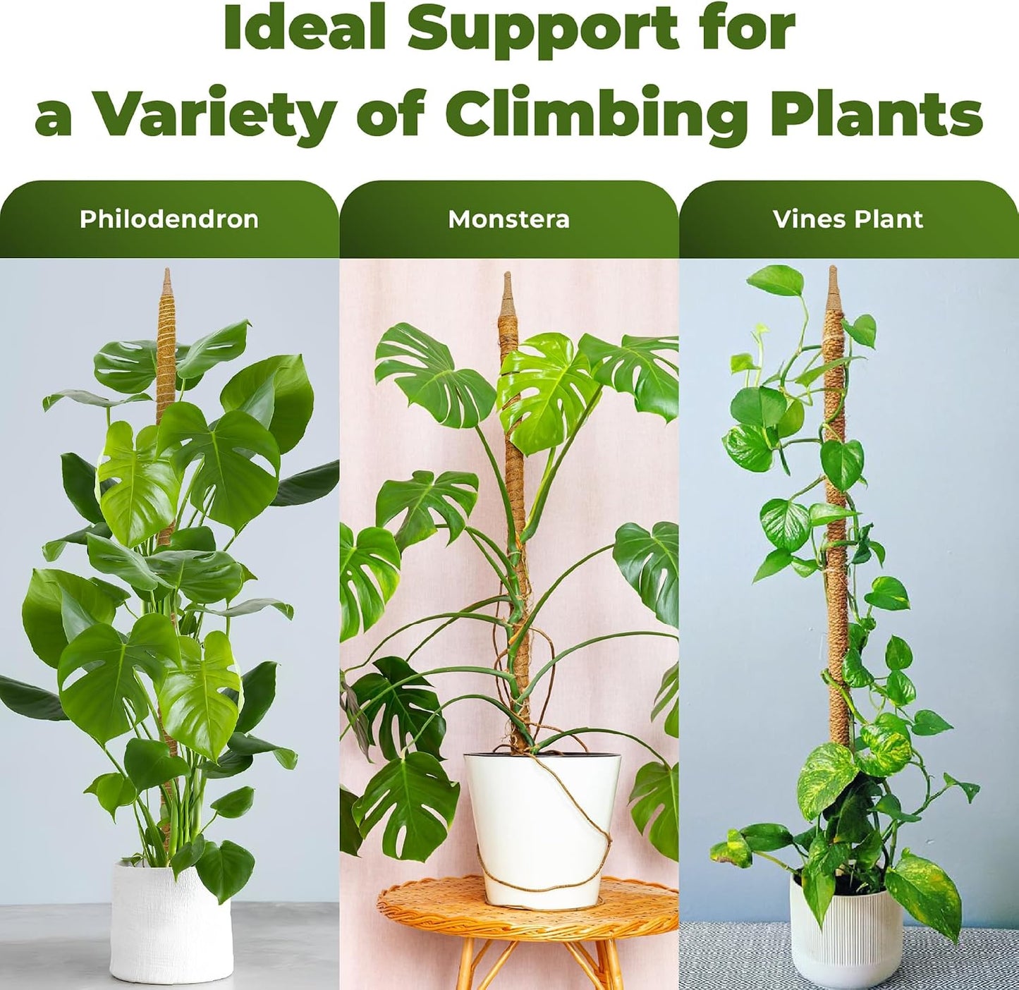 2 Postes Musgo Flexibles 28pulg Soporte Monstera Interior
