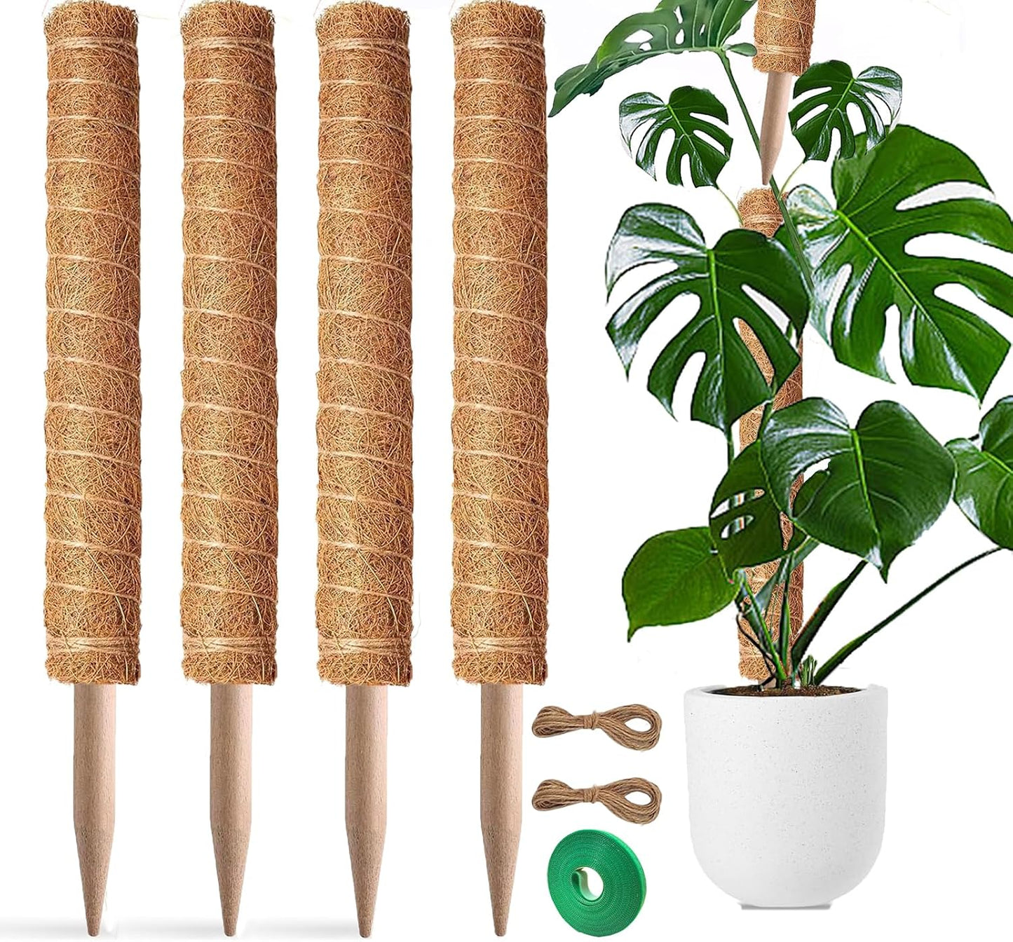 4 Soportes Monstera 17pulg Poste Musgo Apilable