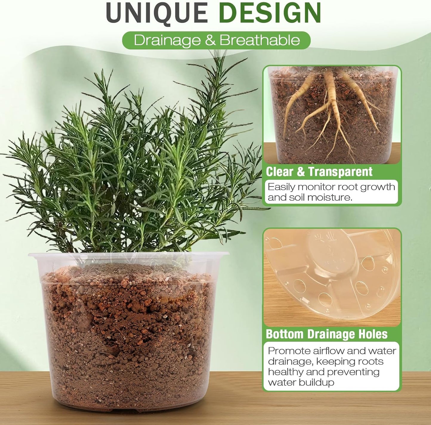 Macetas transparentes 7pulg drenaje set 15 plástico para plantas