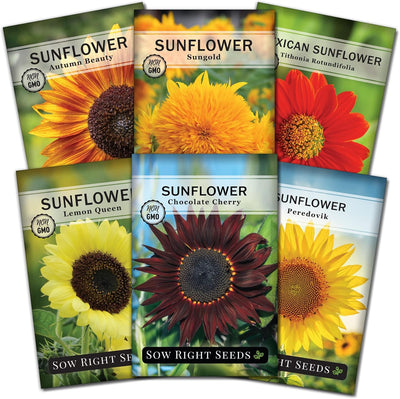 Paquete 6 variedades semillas girasol para polinizadores