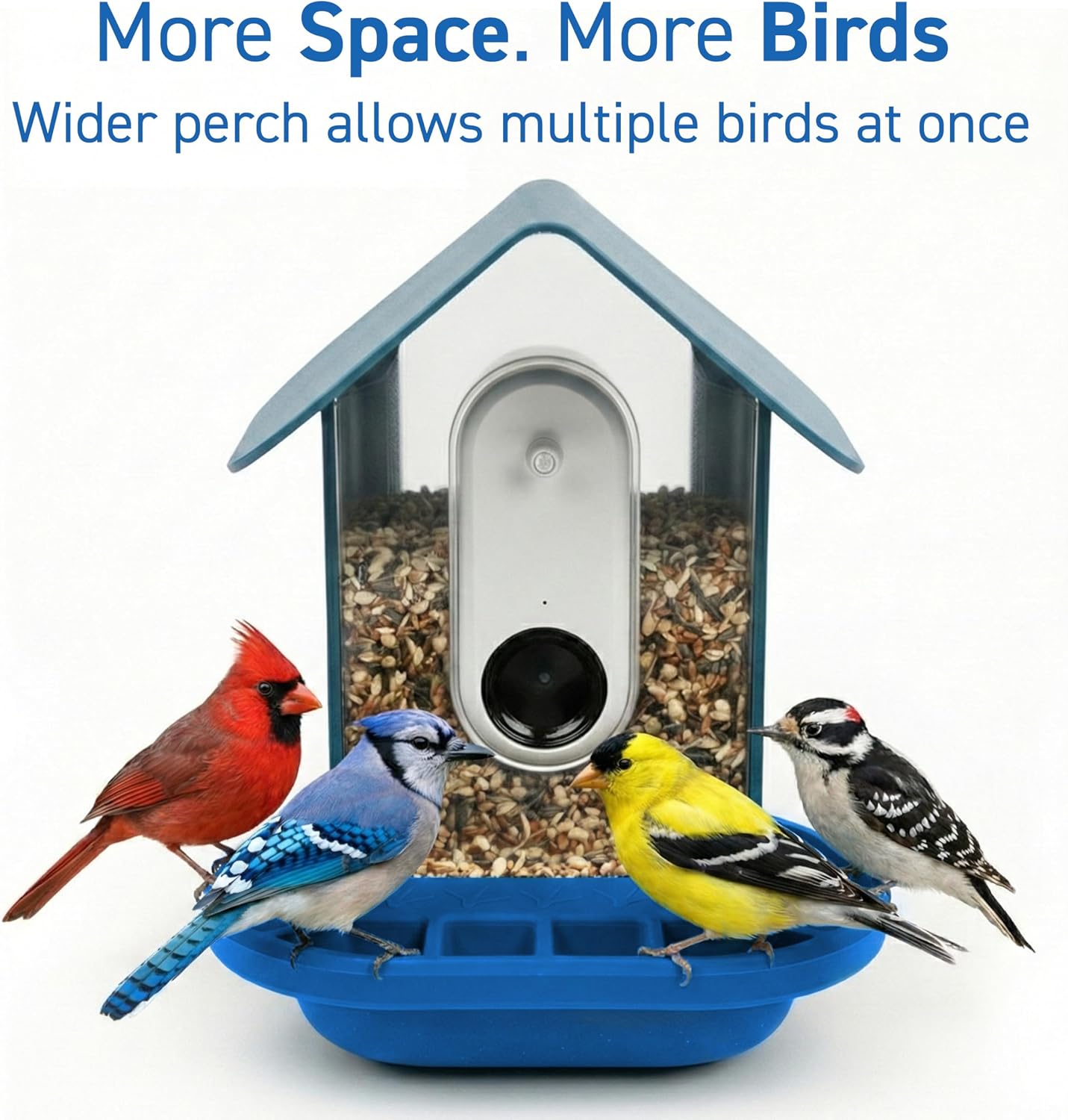 Extensor silicona Bird Buddy 9pulg plataforma resistente intemperie