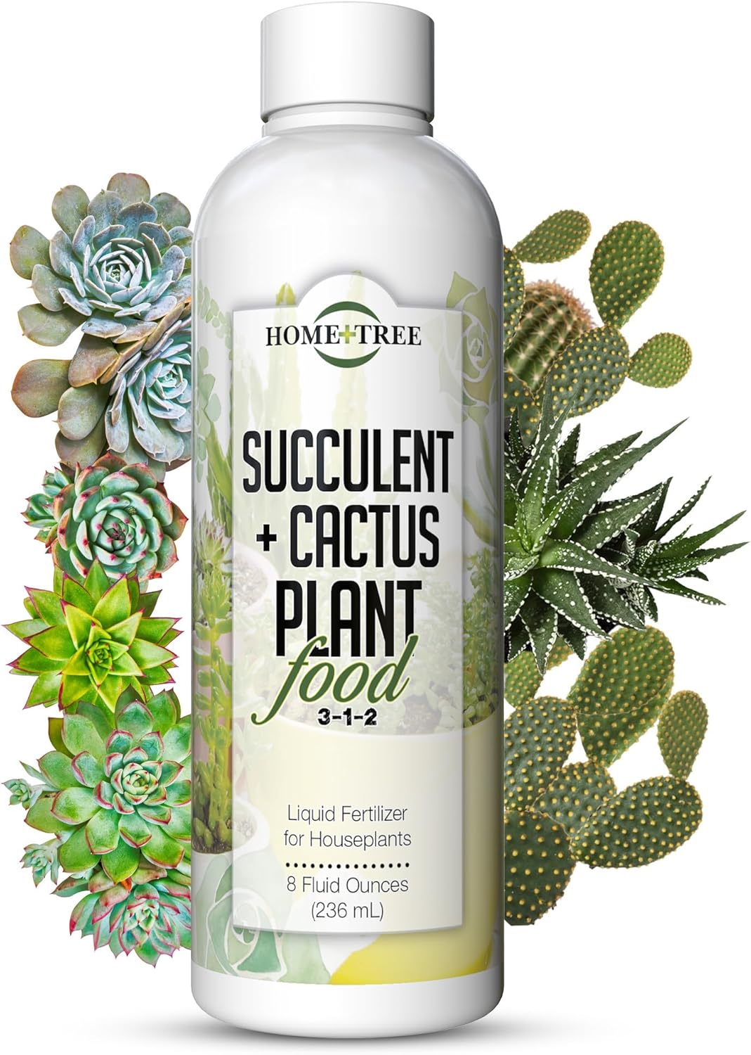 Fertilizante para suculentas y cactus planta árbol