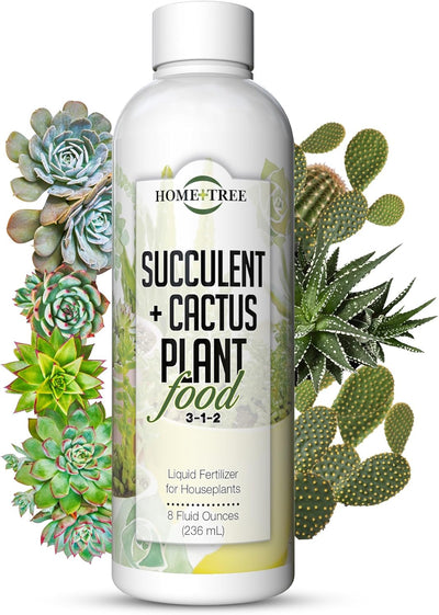 Fertilizante para suculentas y cactus planta árbol