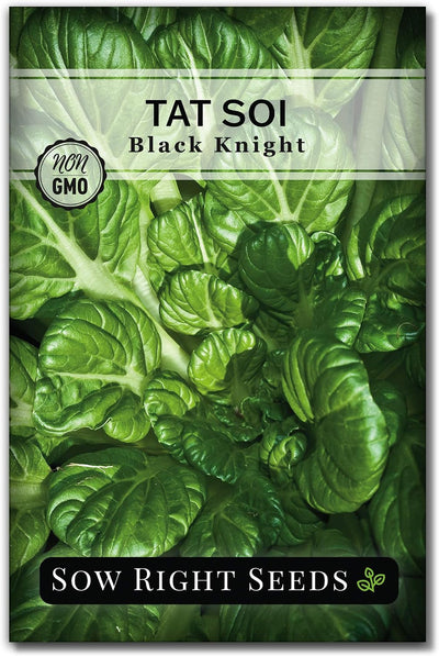Semillas Black Knight Tat SOI mostaza china verde