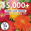 Bolsa semillas Zinnia Super Cactus 1/4libra 15000uds