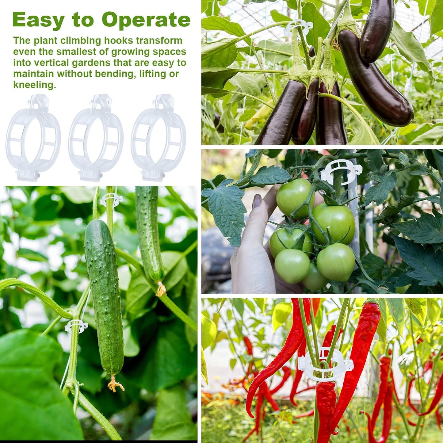 60 Ganchos Tomate con Cuerda 33.3pies para Soporte Plantas