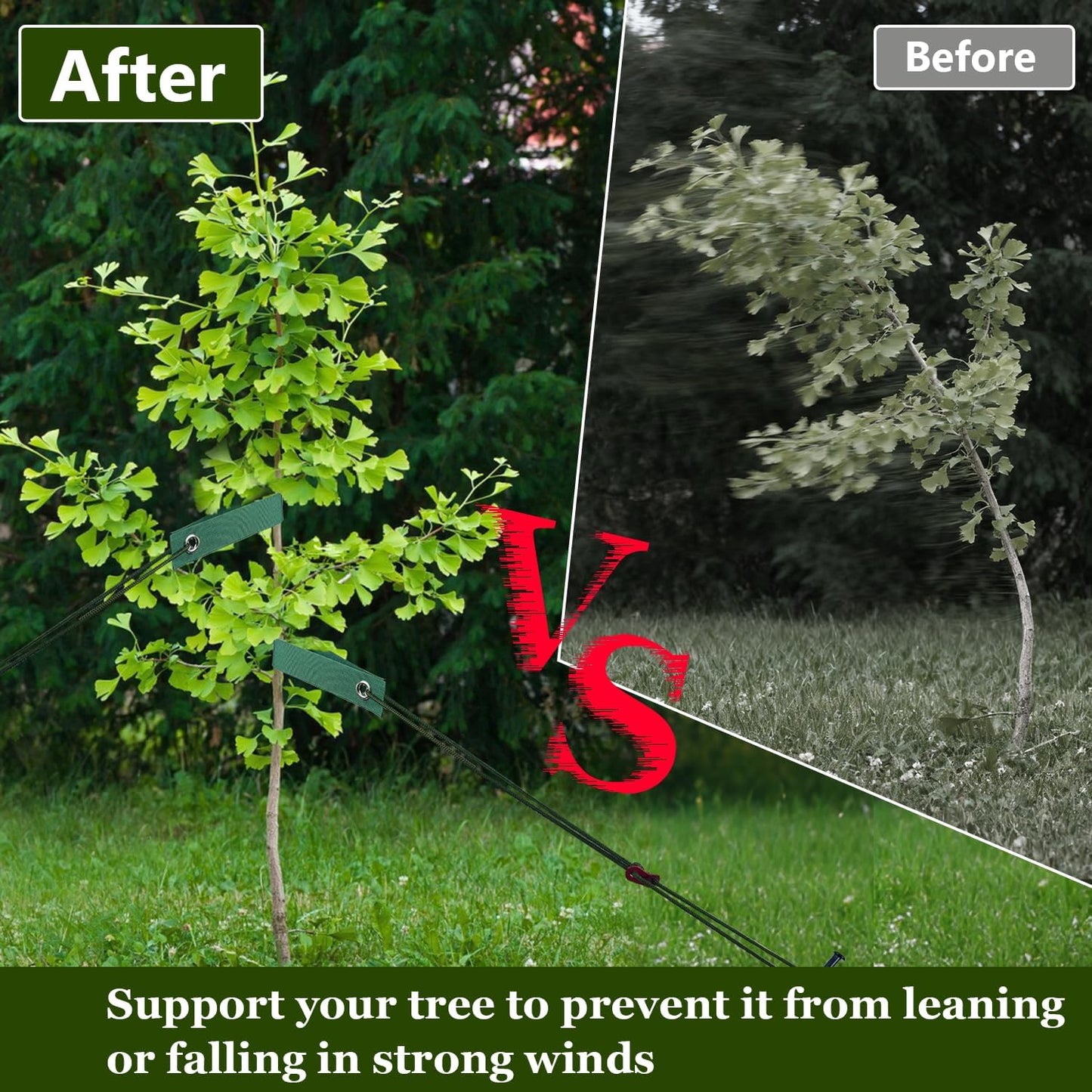 Kit estacas árbol 16pulg 3 correas cuerda 39ft