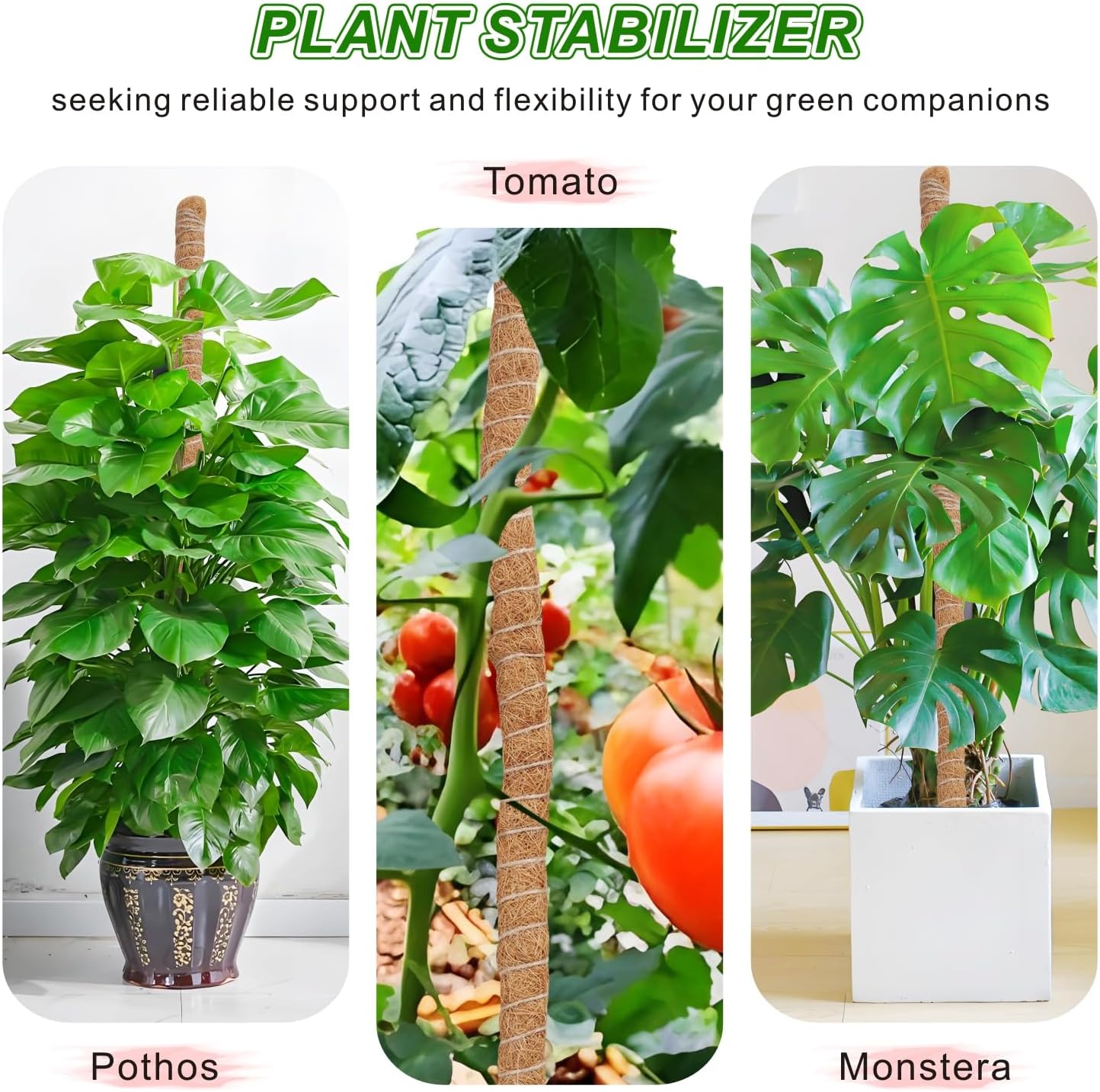 2 Postes Musgo Soporte Plantas Monstera 28pulg