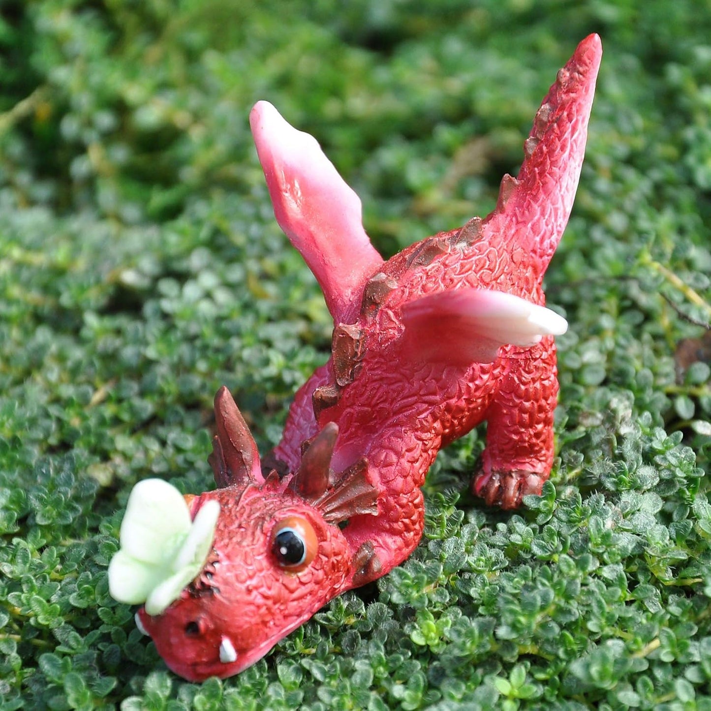 Mini Terrario Hadas Dragón Rojo con Mariposa