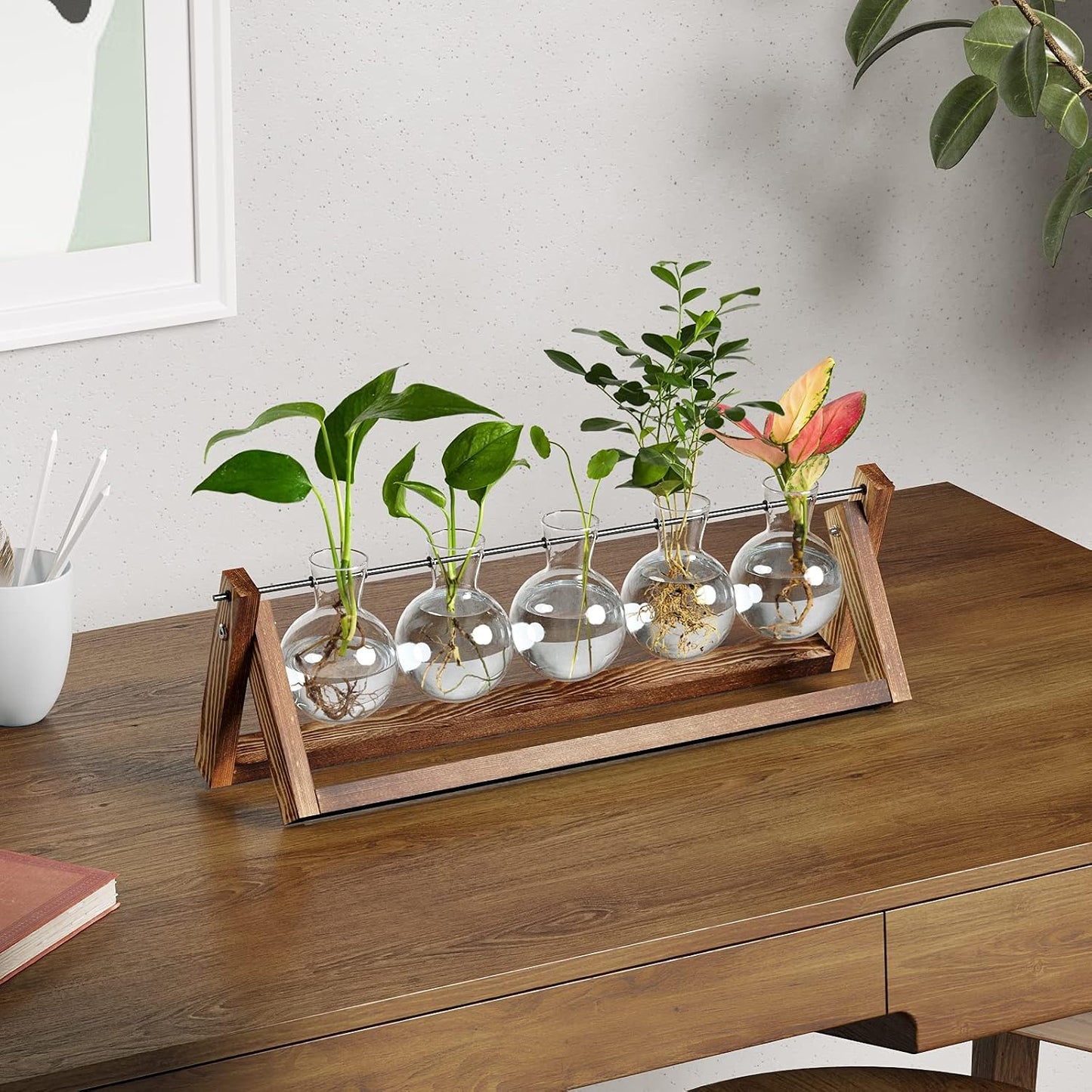 Soporte giratorio para terrario de madera y vidrio