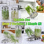 Set 2 Tapas Germinación Acero Inox Con Soporte