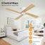 Ventilador techo CC 54pulg 4 aspas madera motor 6 vel rev