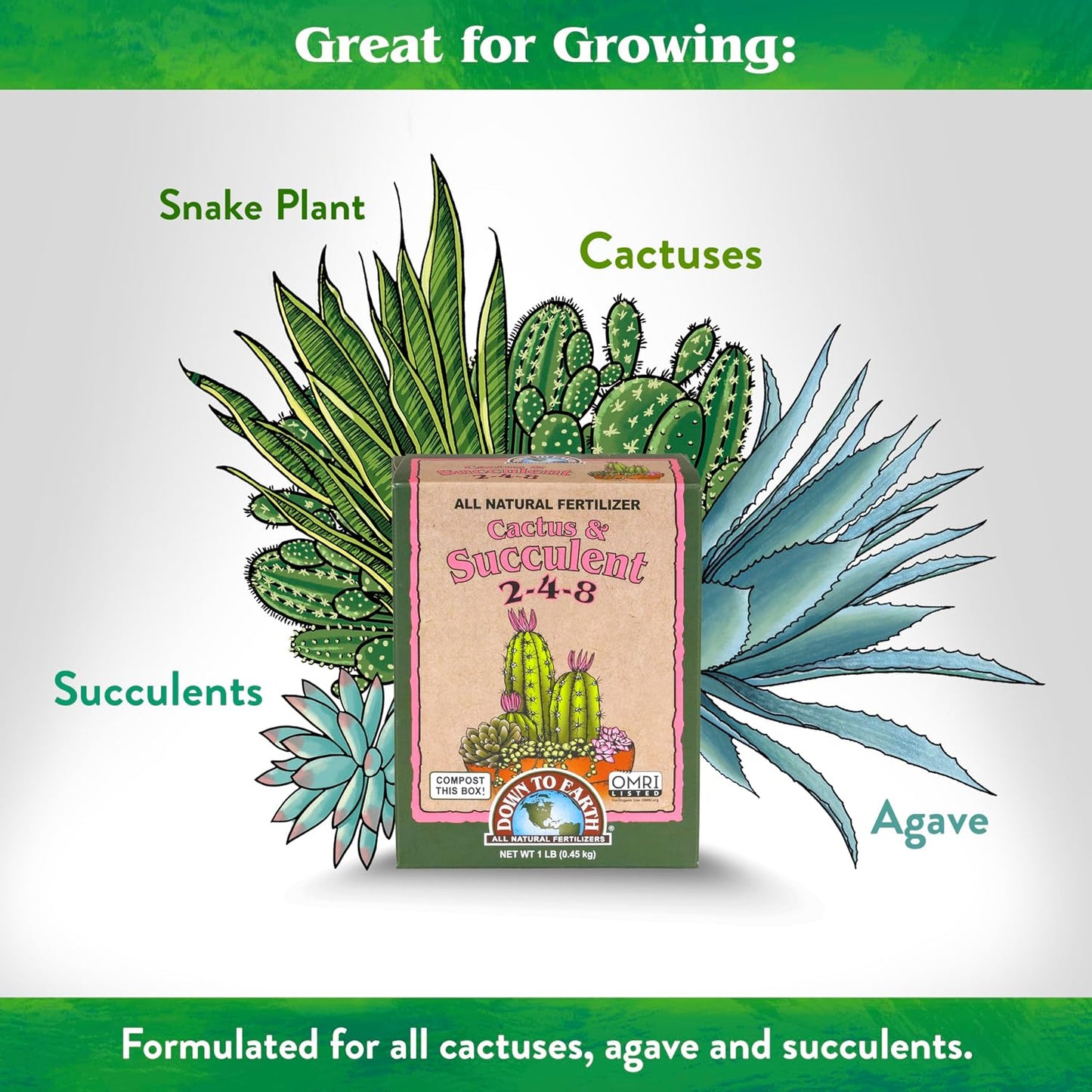Alimento orgánico para cactus y suculentas 1lb