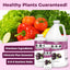 Fertilizante 8-8-8 para plantas arbustos flores 8oz