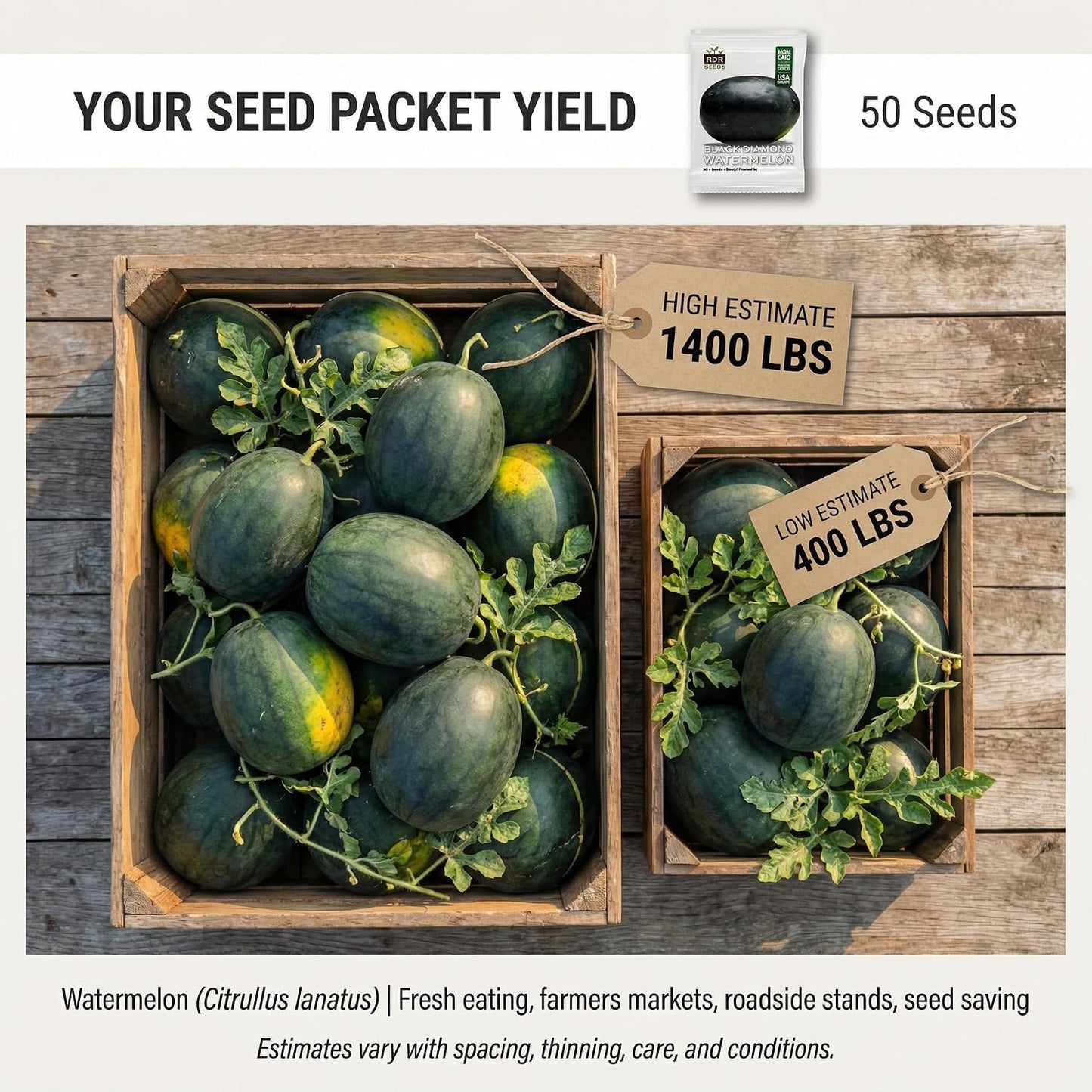 50 Semillas Sandía Black Diamond Cultivan Gigantes 30-50lb