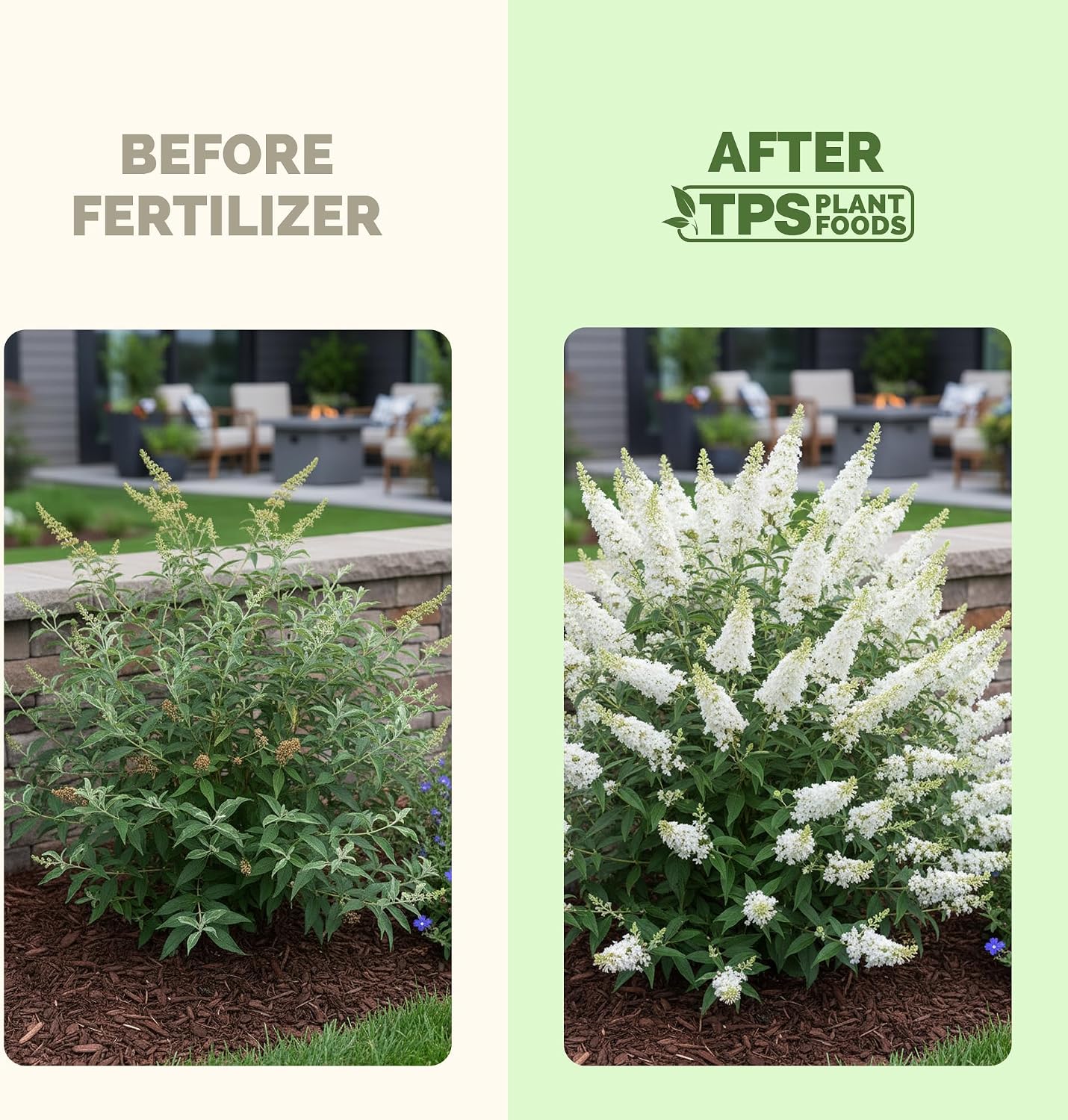Fertilizante líquido para arbusto mariposa 8oz TPS