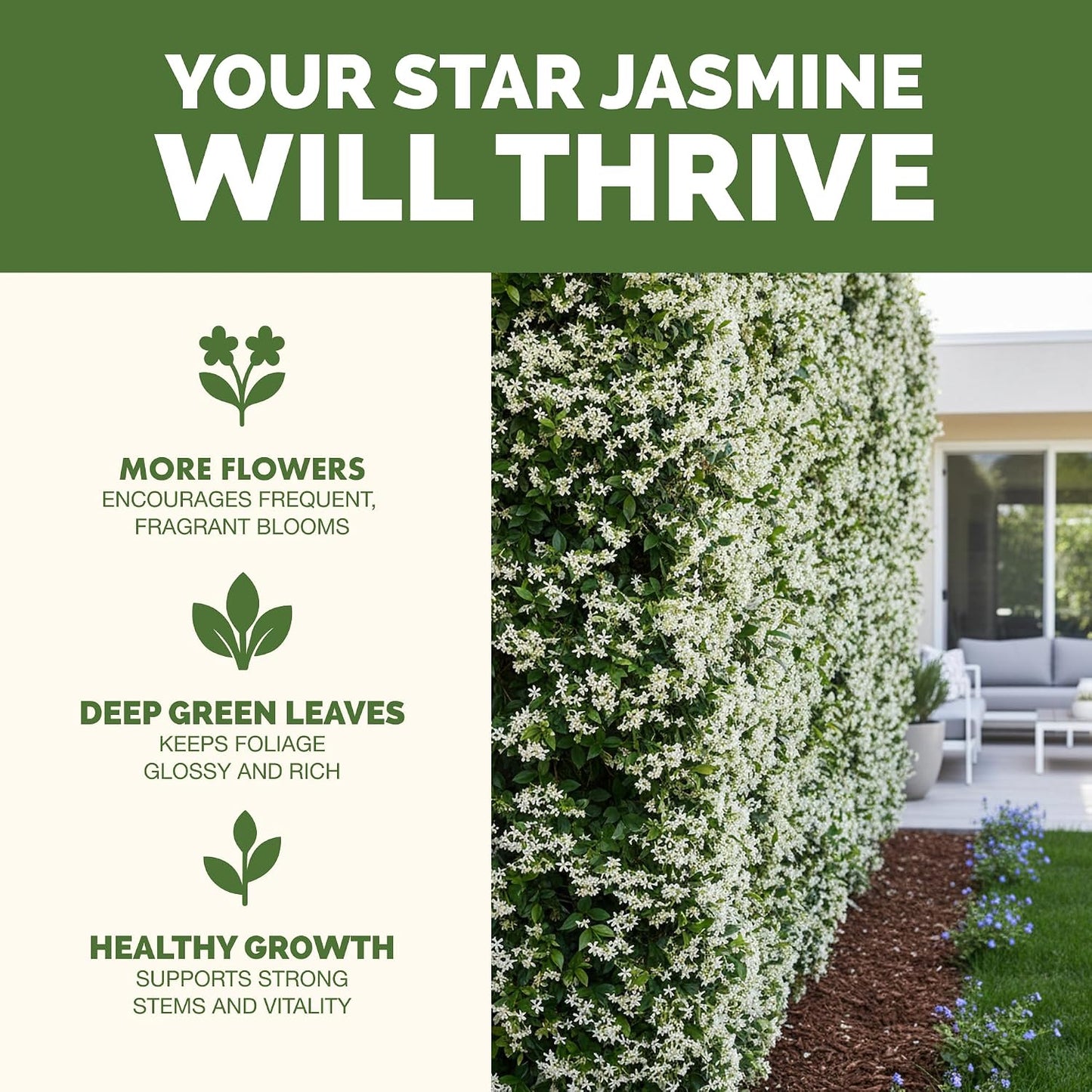 Fertilizante líquido para vid jazmín estrella 8oz