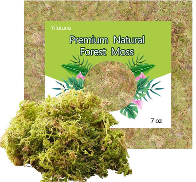 Musgo orquídea 7oz suelo para macetas terrario reptiles decoración