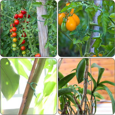 100pies Amarre Suave Jardín para Plantas Trepadoras 2.5MM