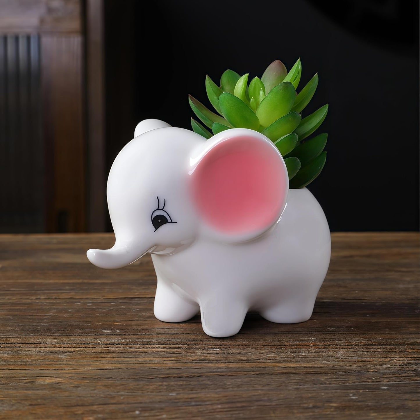 Macetas cerámica elefante con suculentas y cactus rosa y blanco