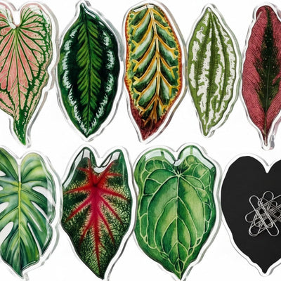 9 imanes hoja tropical para nevera cocina oficina decoración