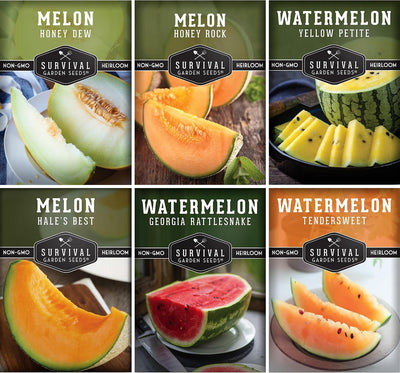 Semillas melón cantalupo sandía Honey Rock Hale’s Best