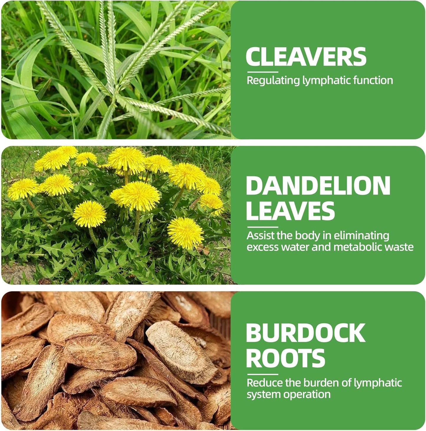 Té Drenaje Linfático 20 Unids Hierbas Suaves Con Diente León