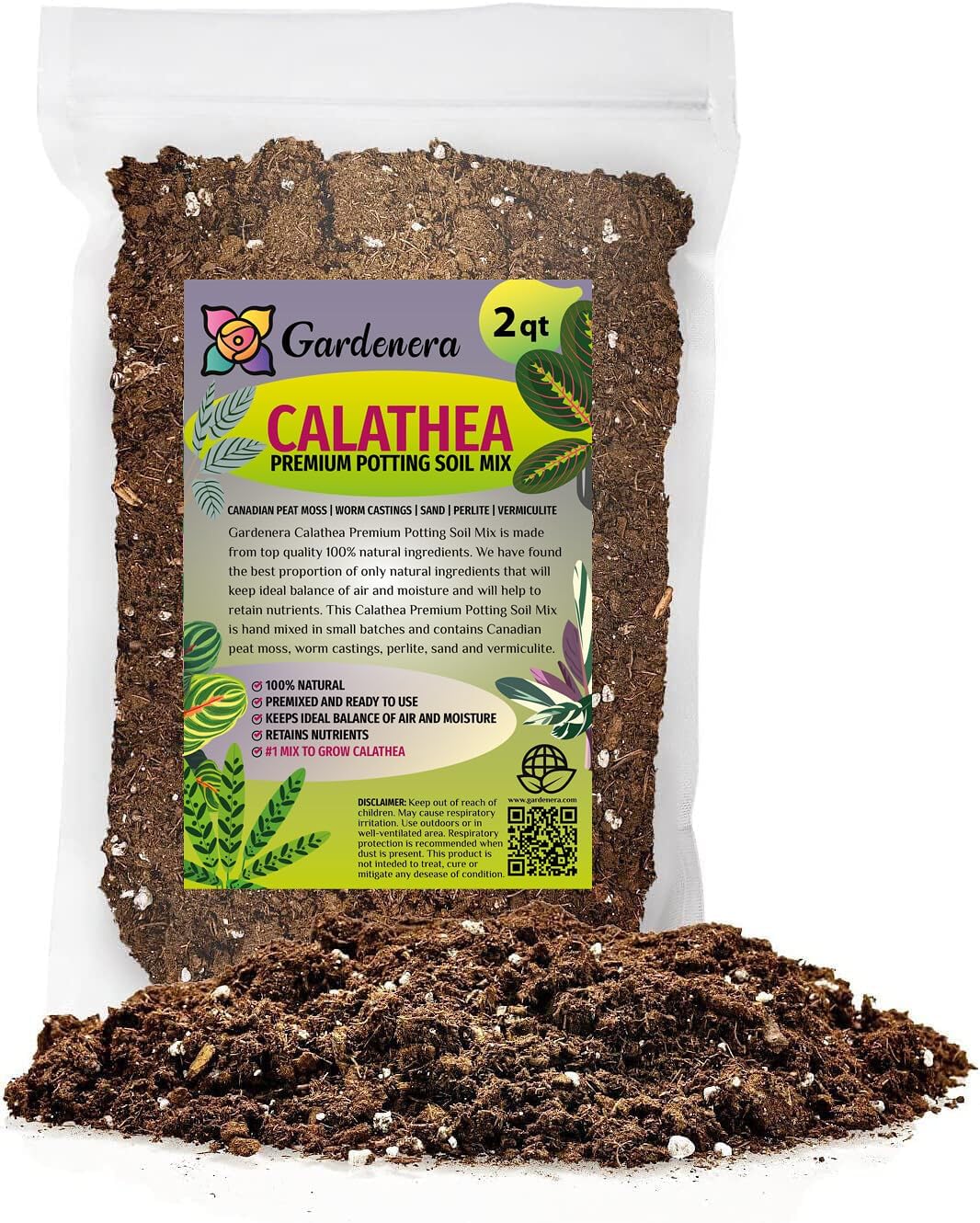 Suelo para macetas Calathea 2qt con hojas cautivadoras