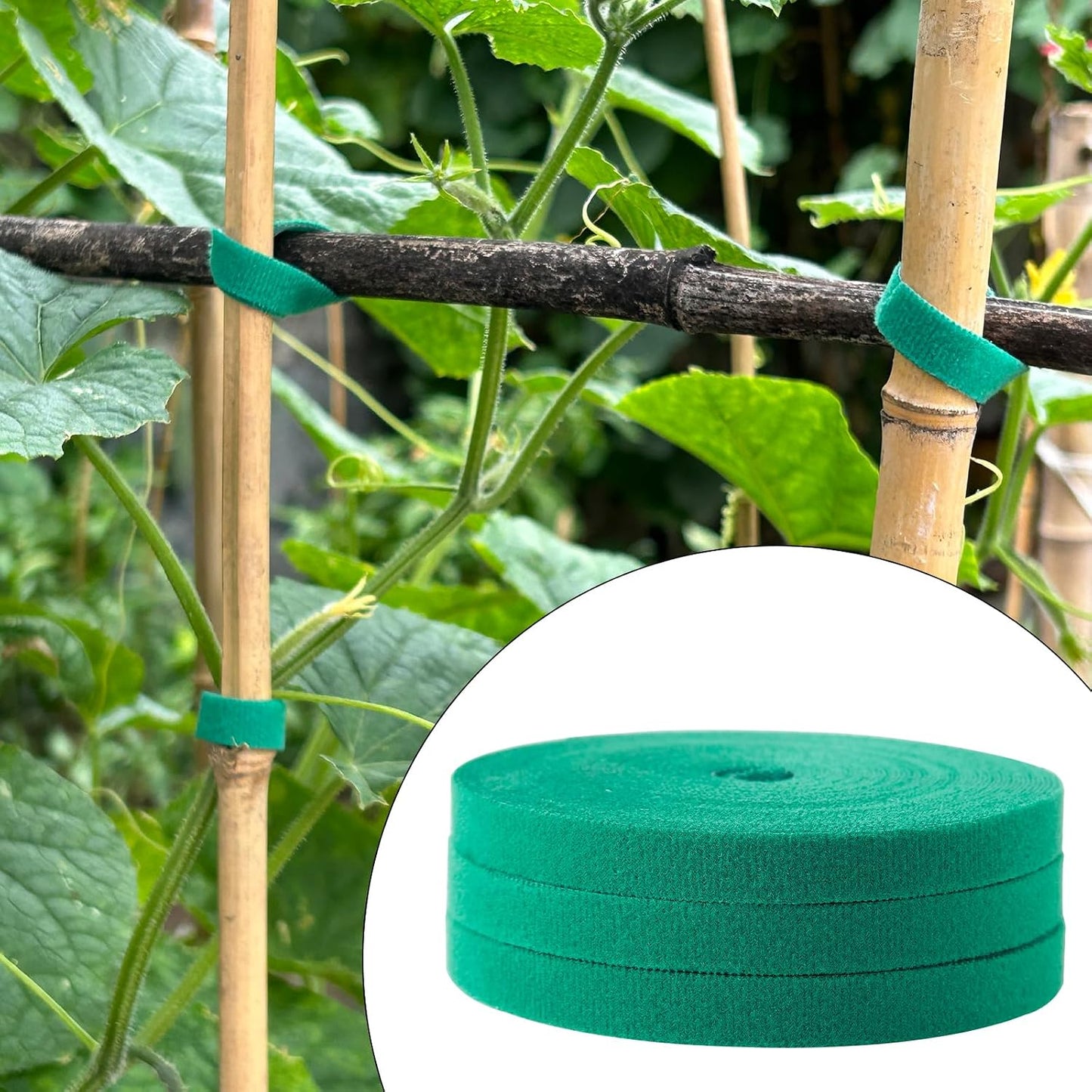 Cinta verde amarre jardín soporte plantas tomate trepadoras