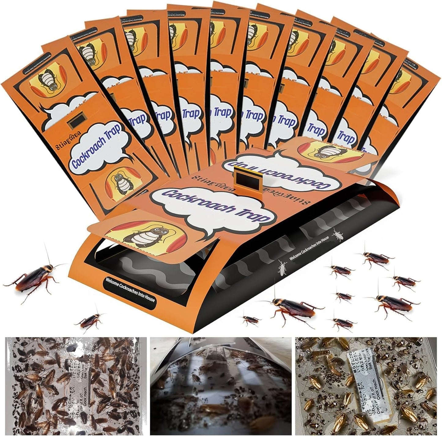 24 Trampas Adhesivas para Cucarachas, Hormigas y Arañas