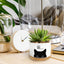Maceta cerámica forma gato para suculentas decoración