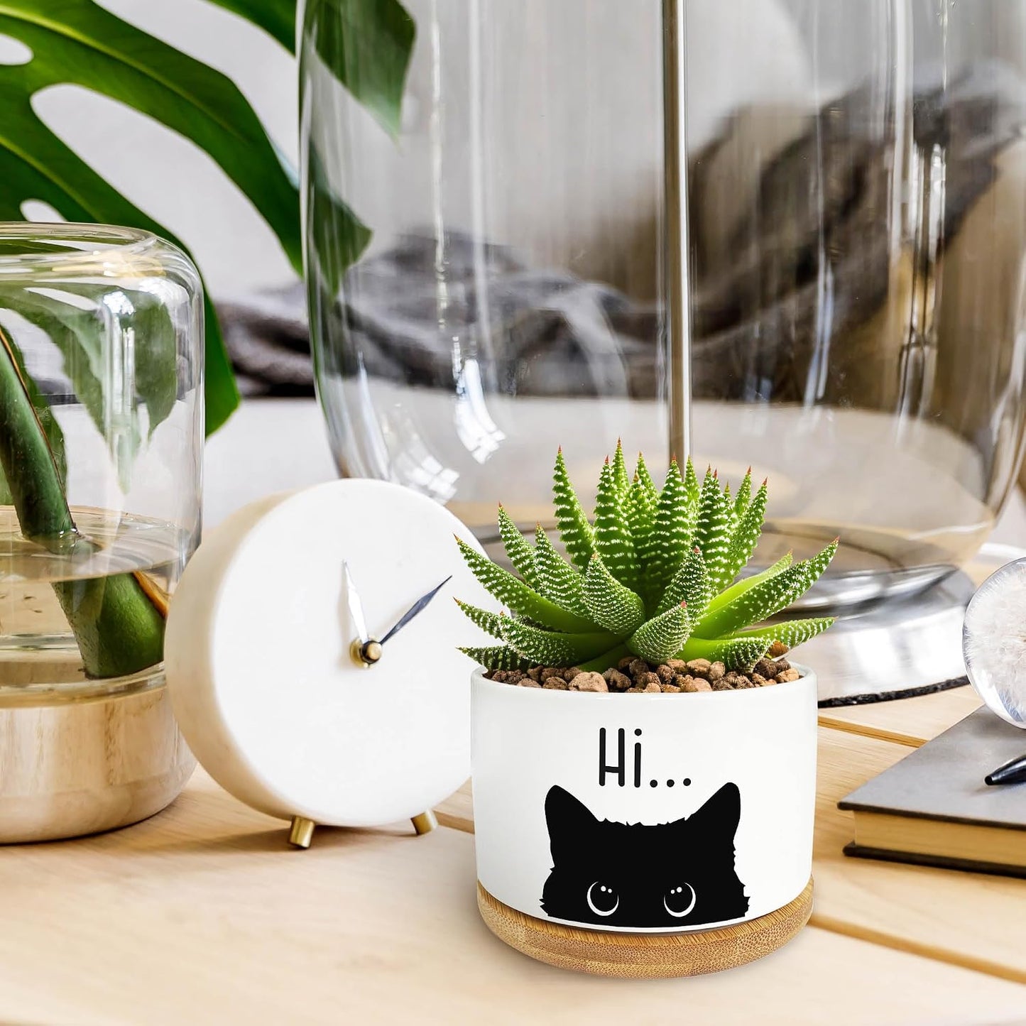 Maceta cerámica forma gato para suculentas decoración