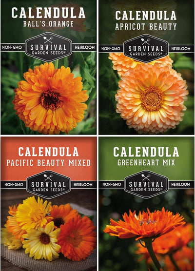Semillas caléndula para plantar 4uds flores naranja