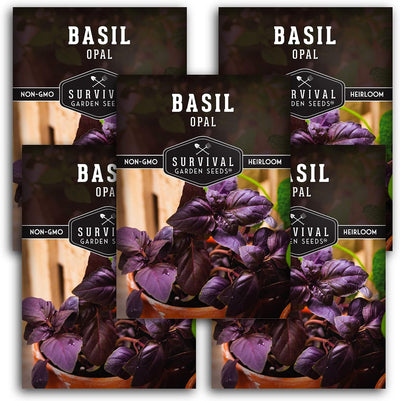 Semilla albahaca morada 5 paquetes con instrucciones