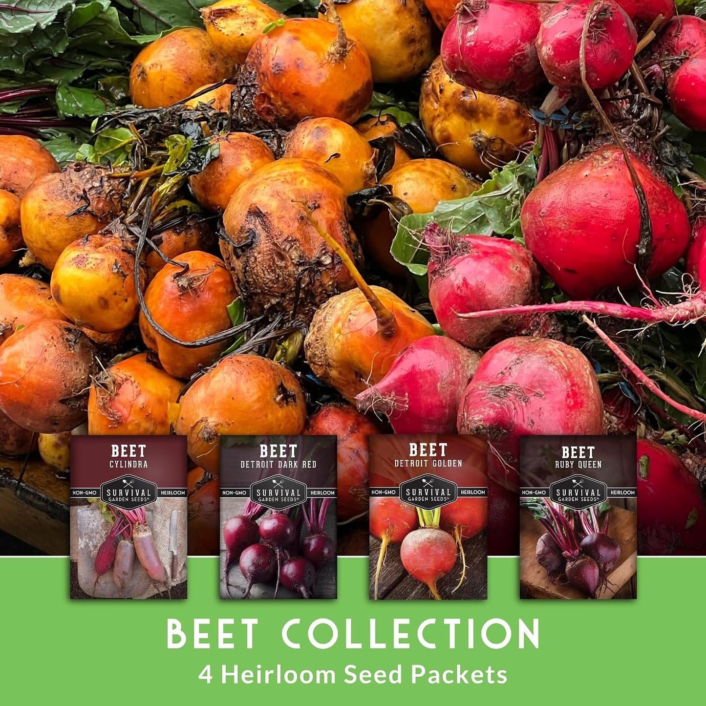 Semillas Beet Collection Detroit Red Golden Ruby Queen Cylindra