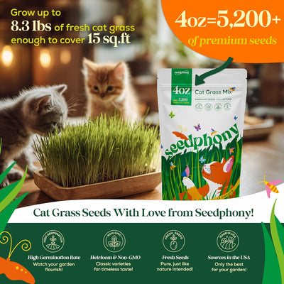 Mezcla semillas hierba gato 4oz 5200 semillas Heirloom sin OGM
