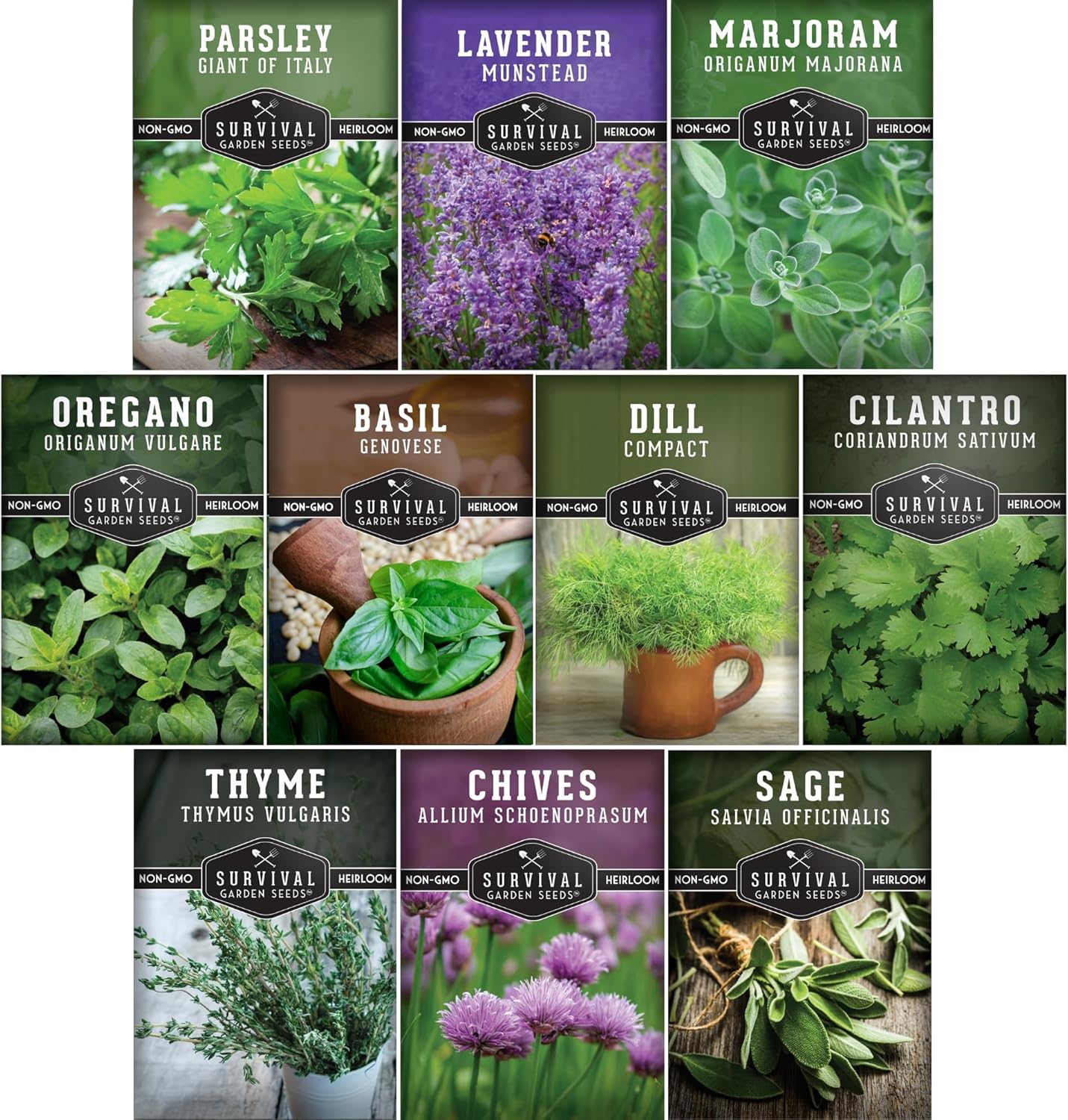 Kit hierbas culinarias 10 tipos para plantar