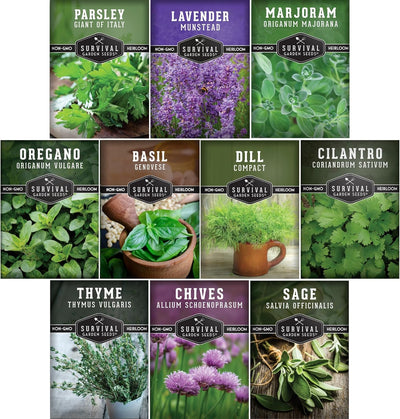 Kit hierbas culinarias 10 tipos para plantar