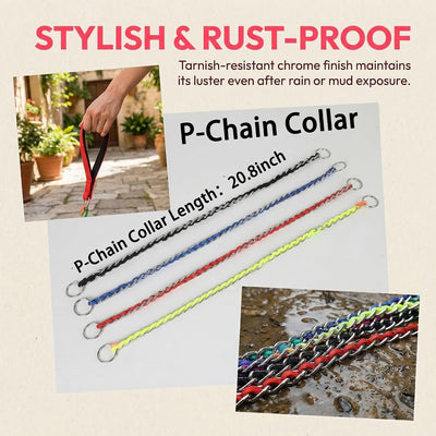 Correa metal perro antimordidas collar cadena P 2-4 pies