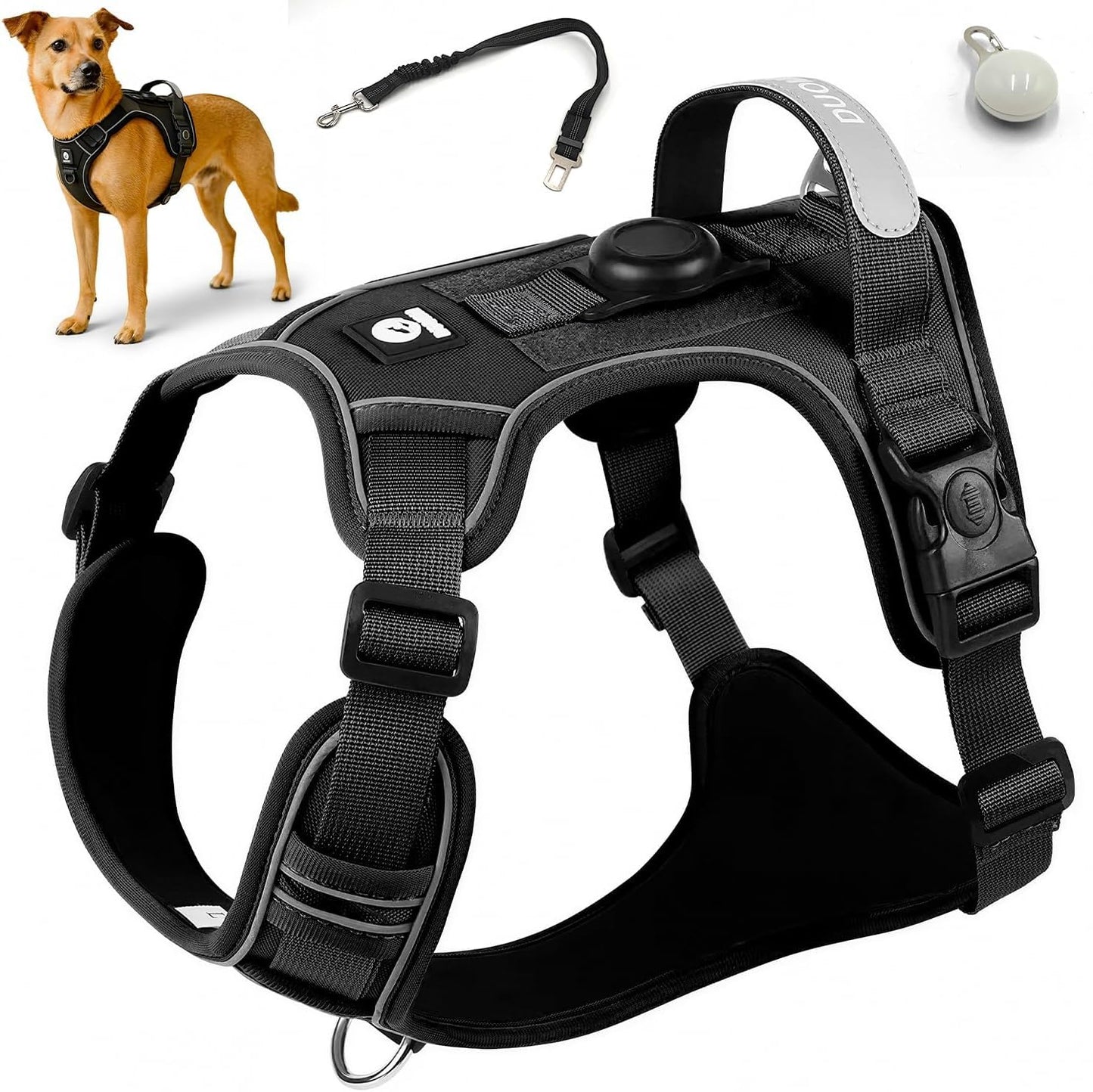 Kit seguridad 3en1 arnés perro sin tirones con etiqueta seguimiento