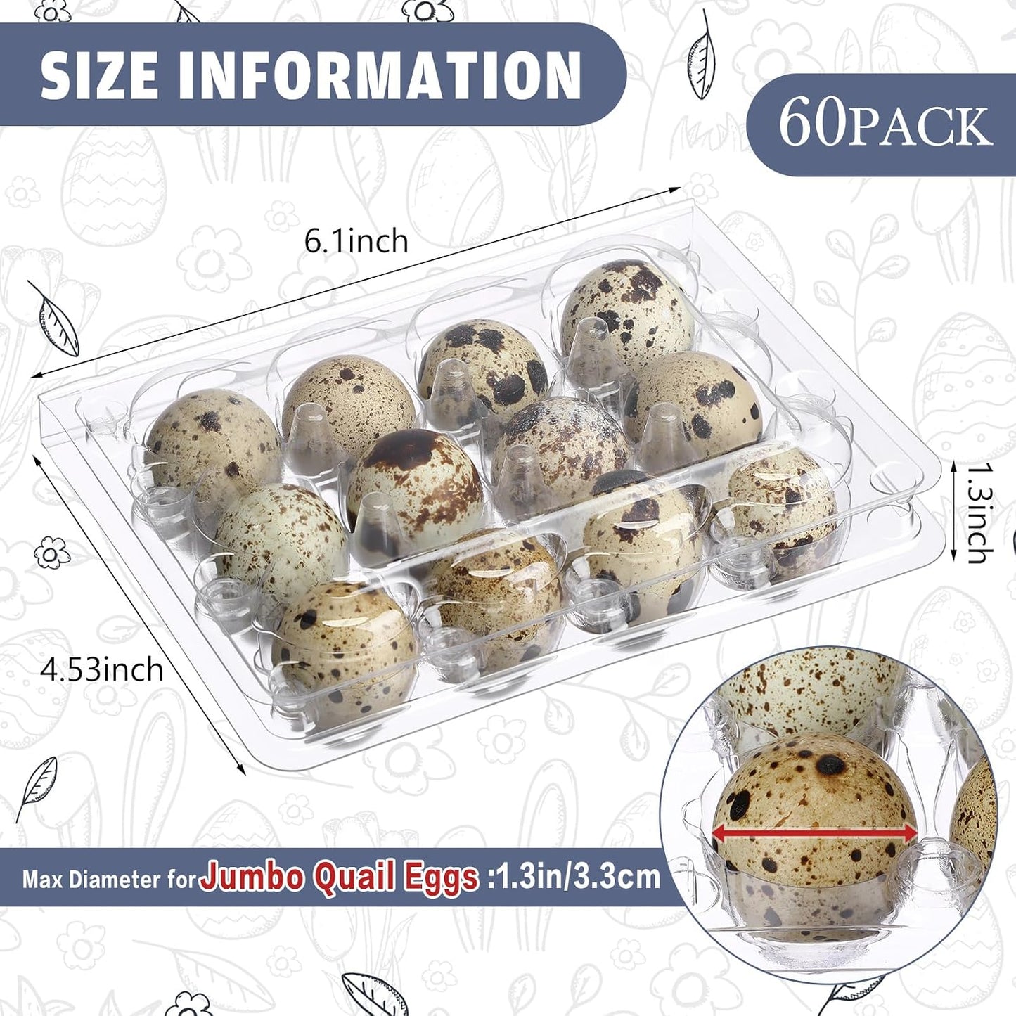 60 Cajas Huevos Codorniz 12 Rejillas Plástico Transparente