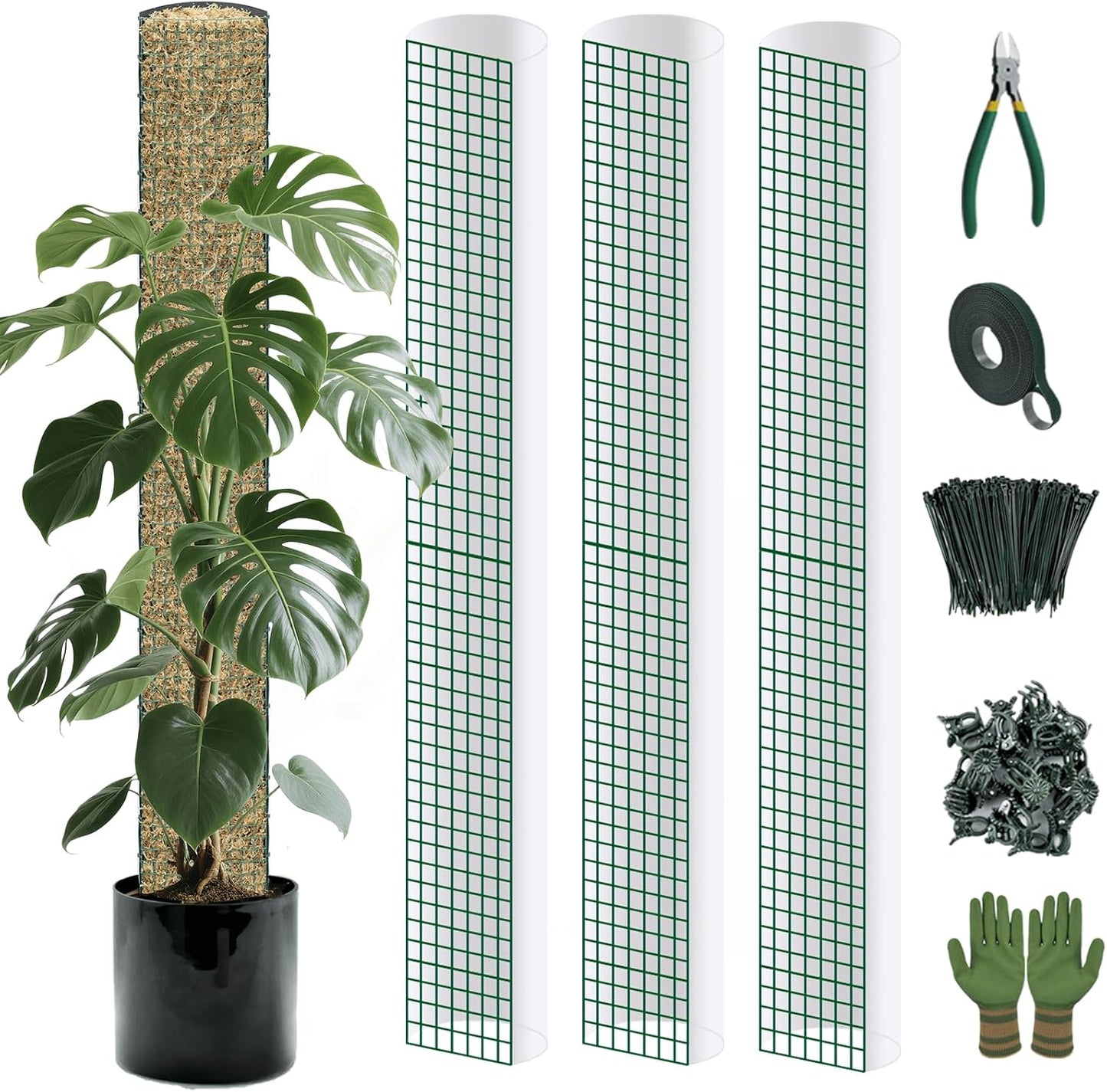 Postes plástico musgo para plantas trepadoras con riego automático