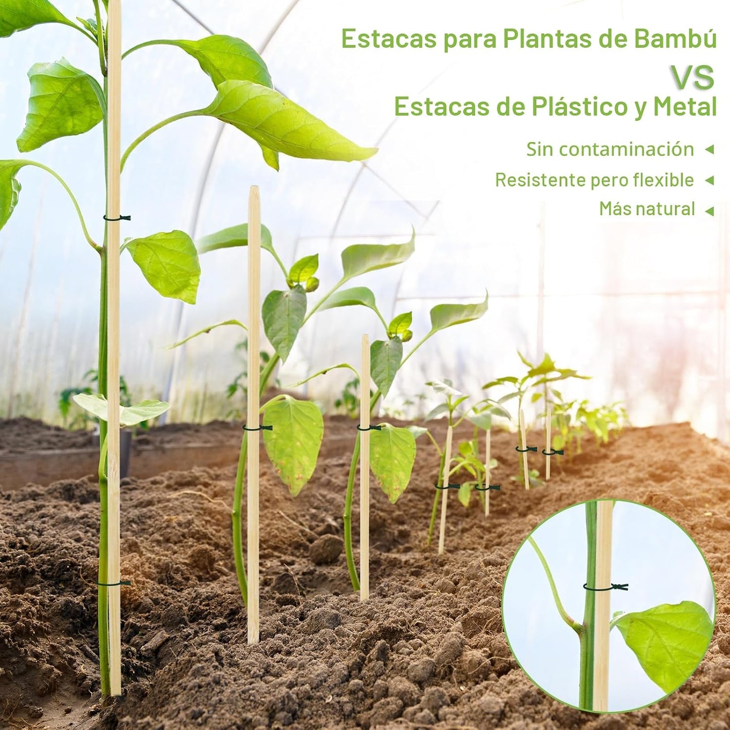 40 Pzas Estacas Bambú 18pulg Soporte Madera Jardinería
