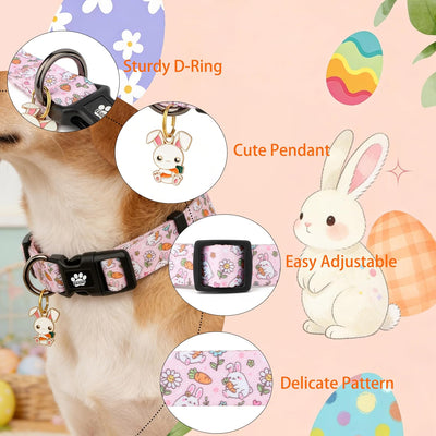 Collar Pascua perro patrón zanahoria rosa S M L