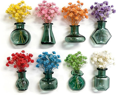 8 Imanes Cristal con Flores Secas para Nevera Regalo Mamá