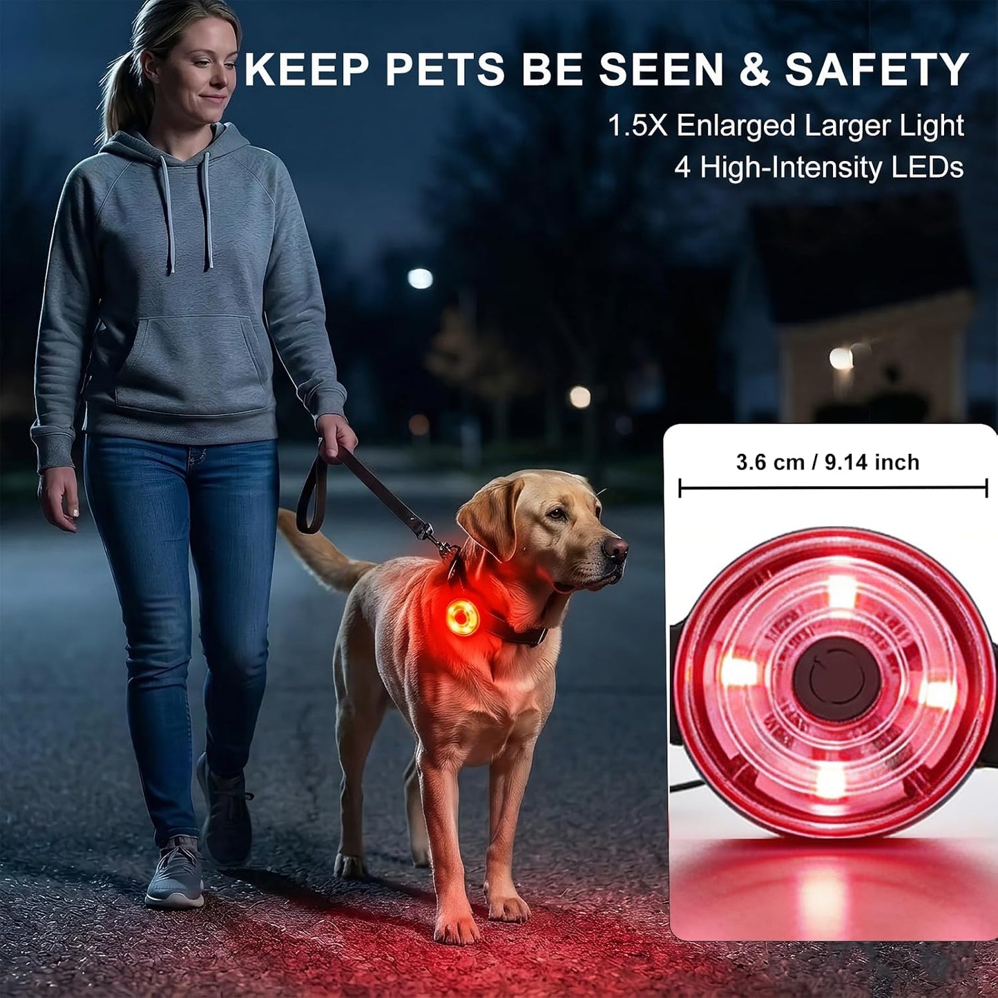 Luz LED para collar perro IPX7 recargable USB-C 4 colores