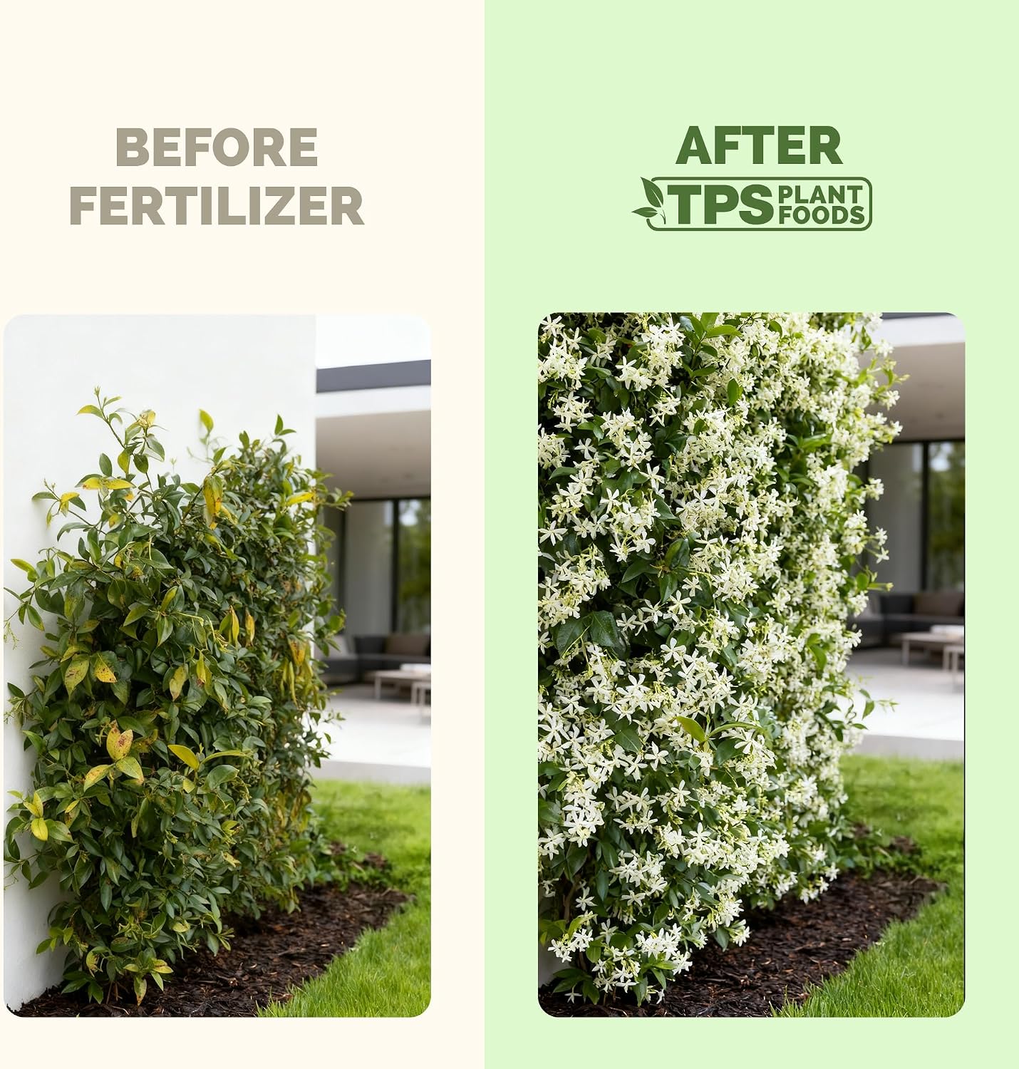 Fertilizante líquido para vid jazmín estrella 8oz