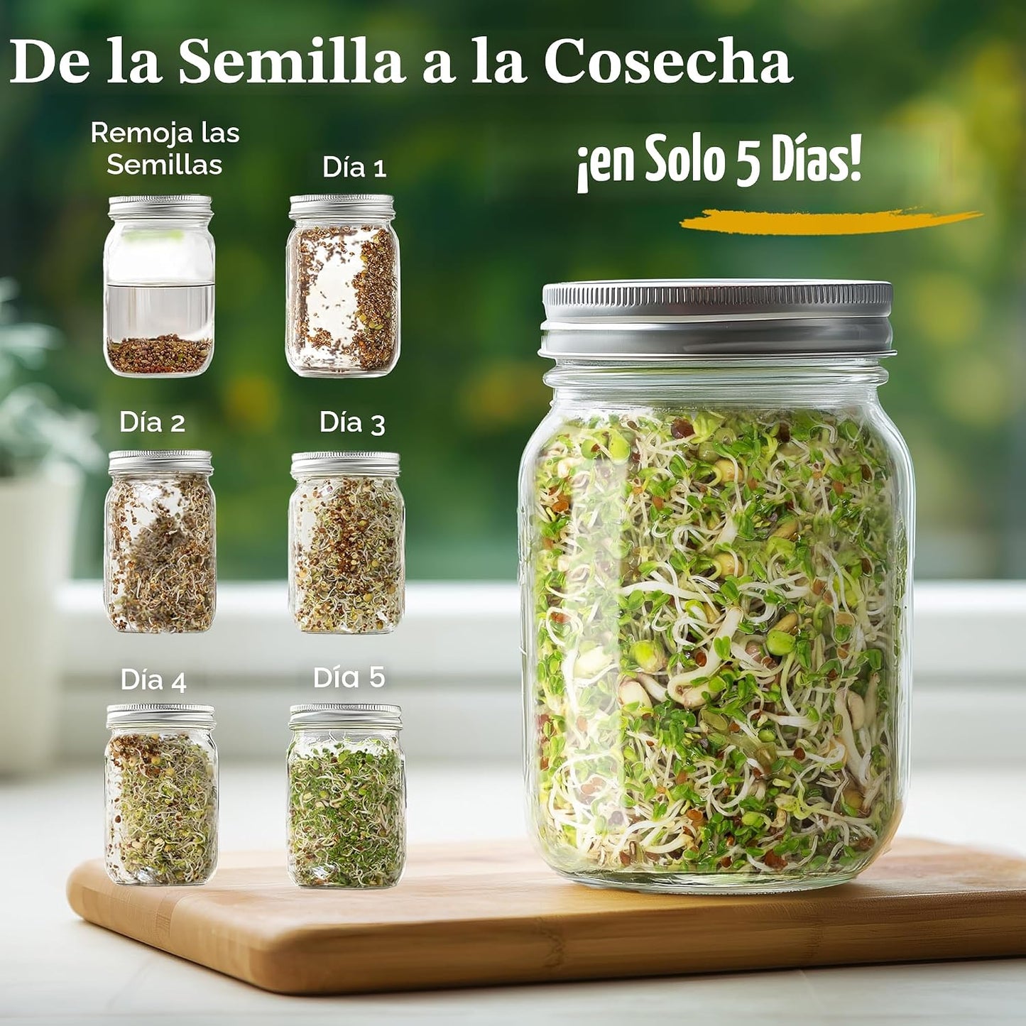 Mezcla microverduras orgánicas 8oz 32 porciones