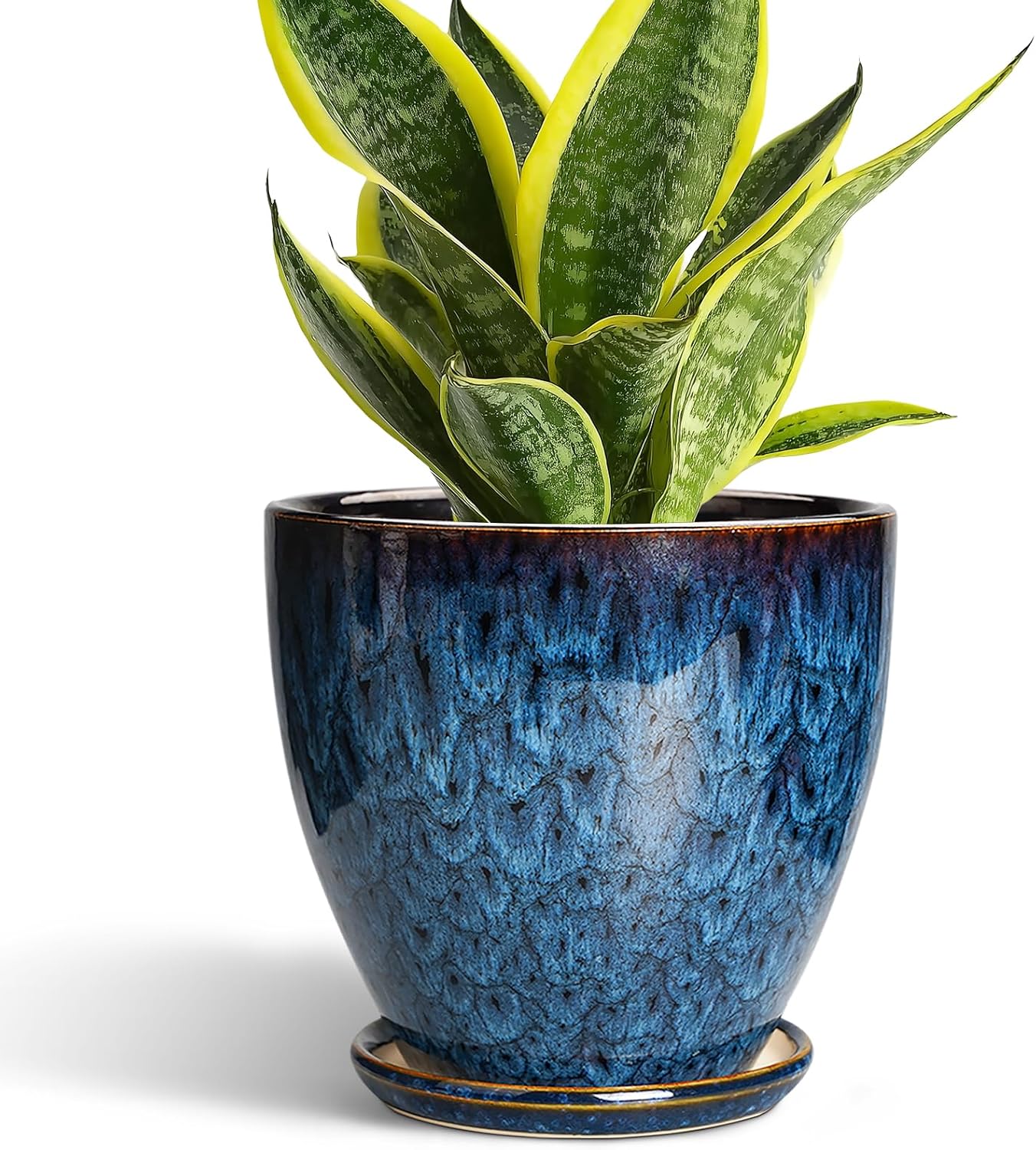 Maceta Cerámica 6pulg con Drenaje y Platillo Decorativo