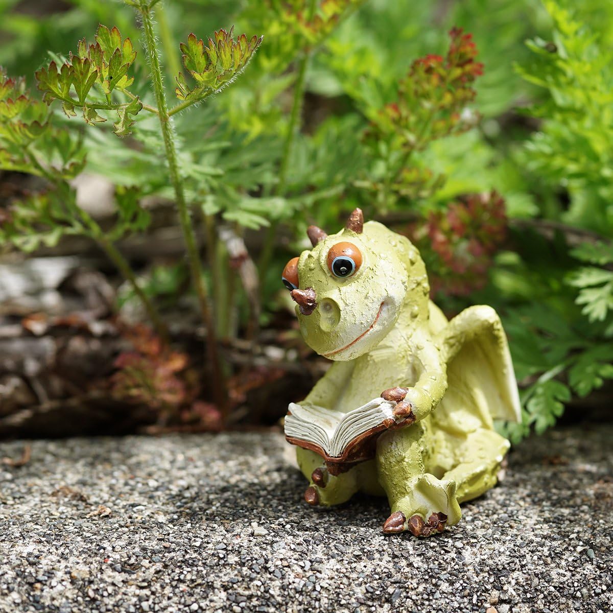 Libro dragón jardín miniatura